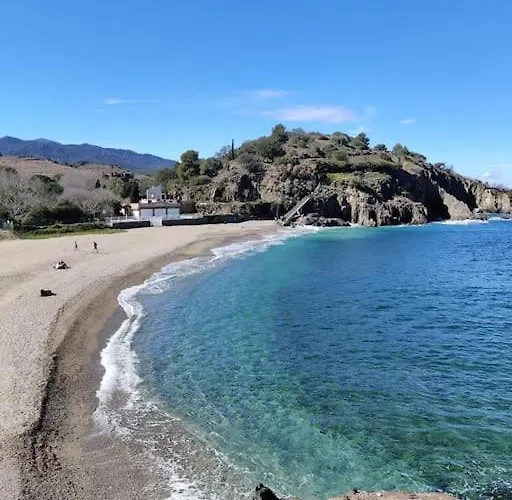 Appartement La Jungle Urbaine Avec Garage Prive & Climatisation *