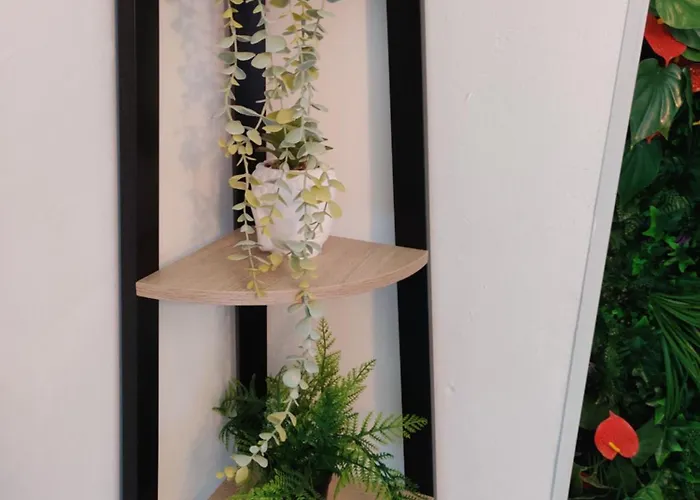 La Jungle Urbaine Avec Garage Prive & Climatisation *